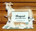 Greyhound Magnet Frame - Click For Enlargement