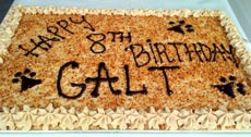 GALT's 8th Birthday Party